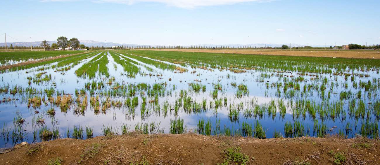 Qué hacer en el delta del ebro