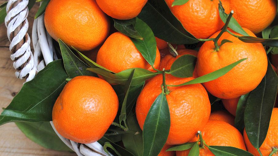 100 Most Popular European Fruits (types And Products) TasteAtlas