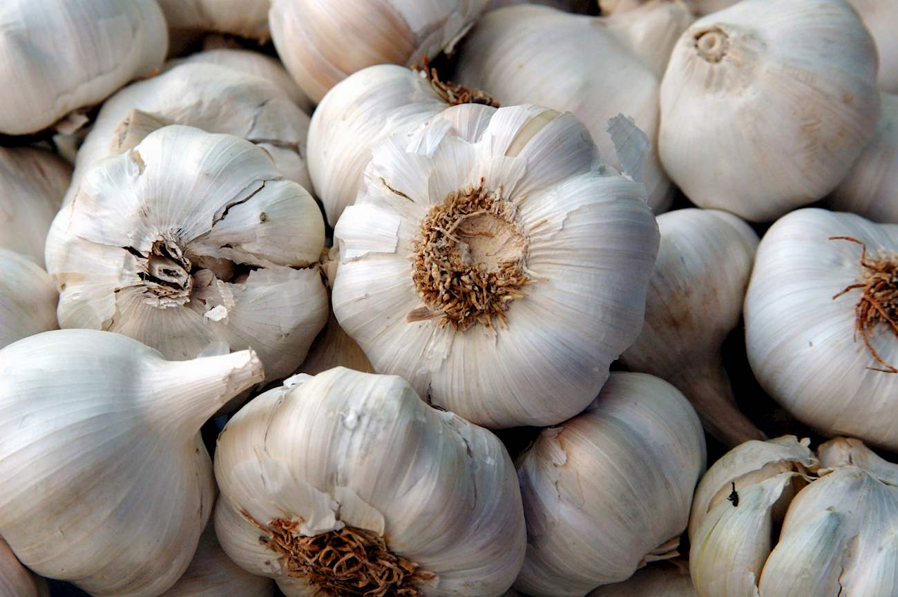 Aglio Bianco Polesano | Local Garlic From Province of Rovigo, Italy