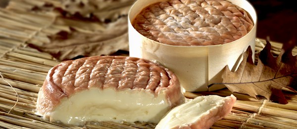 Époisses | Local Cheese From Burgundy, France