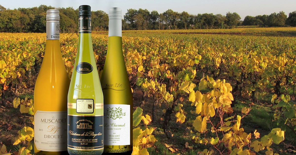 Muscadet | Local Wine Appellation From Pays de la Loire, France