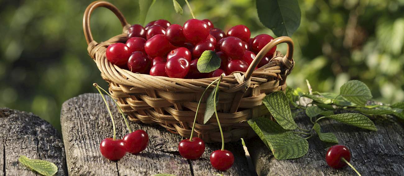 10 Most Popular European Cherries TasteAtlas