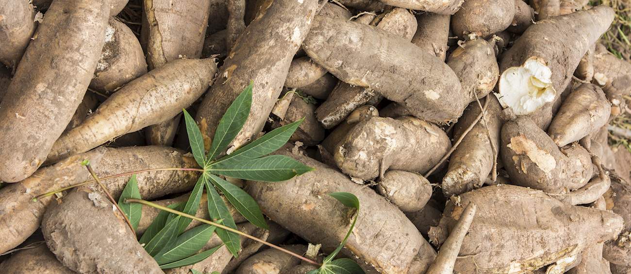 Cassava | Local Tuber From Brazil