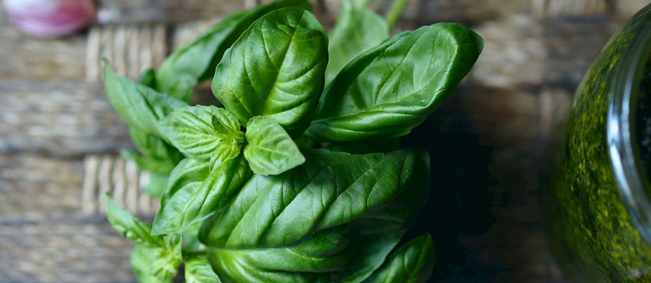 9 Most Popular Italian Herbs and Spices