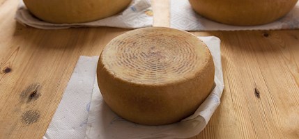 Pecorino di Picinisco