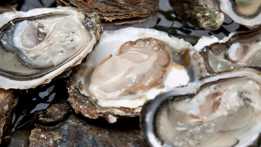 Most Popular Oysters in The World TasteAtlas