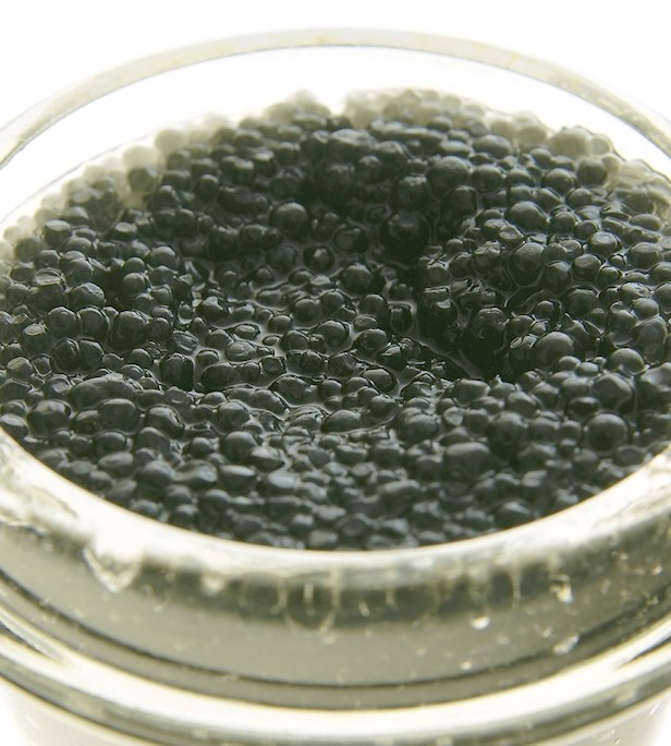 Fish Roes of the World: 26 Fish Roe Types - TasteAtlas