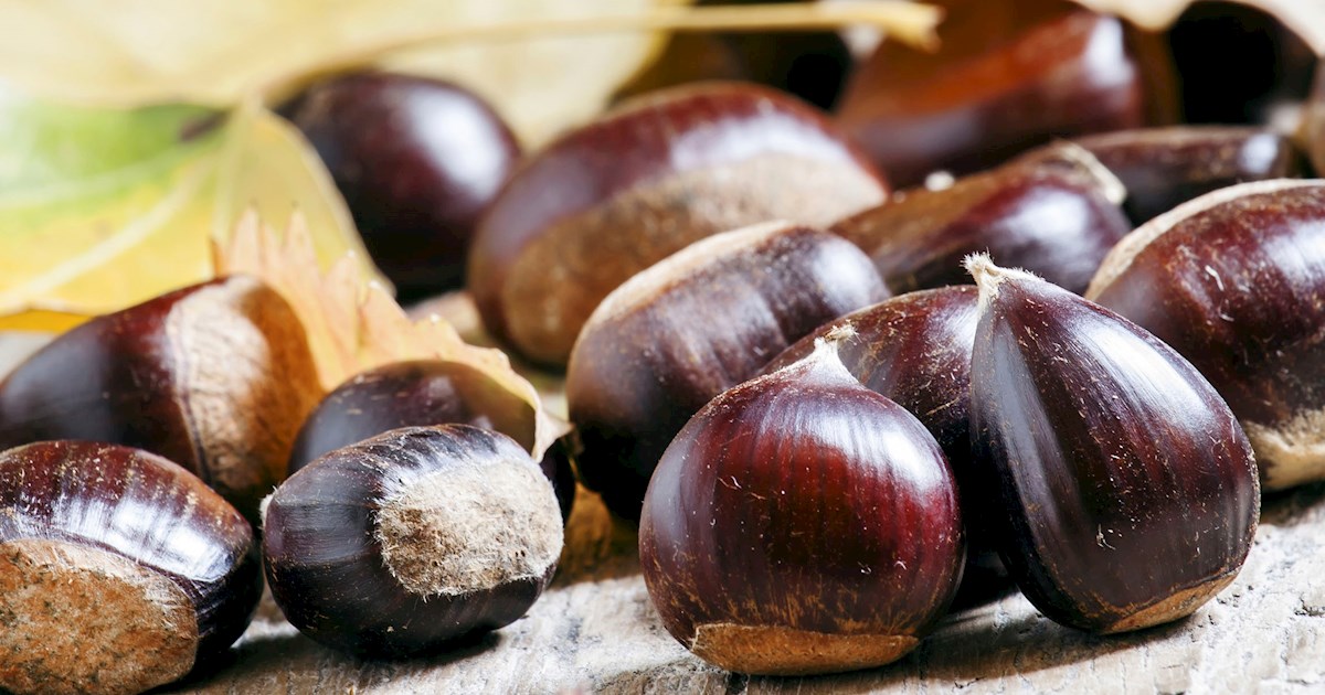 3 Best Nuts and Seeds in Turkiye TasteAtlas