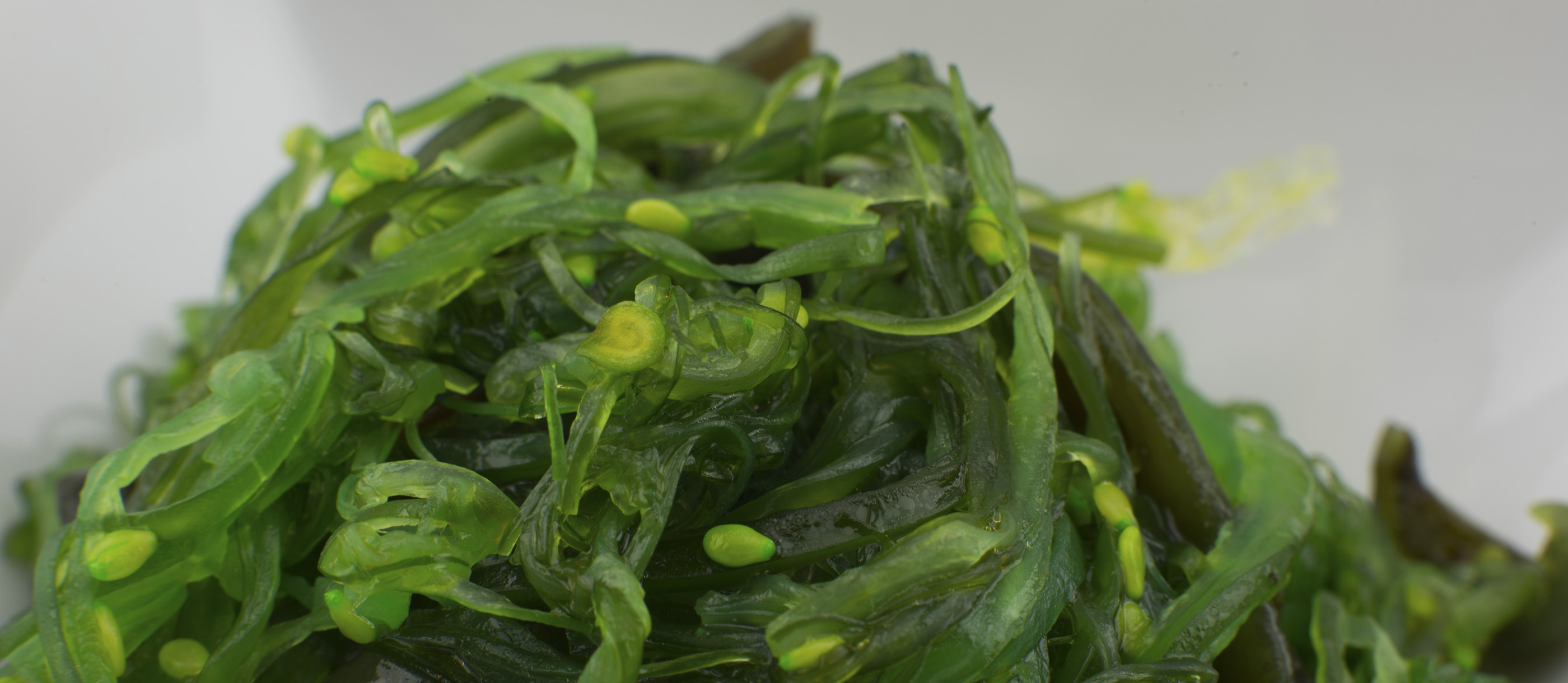Wakame | Local Kelp From Japan