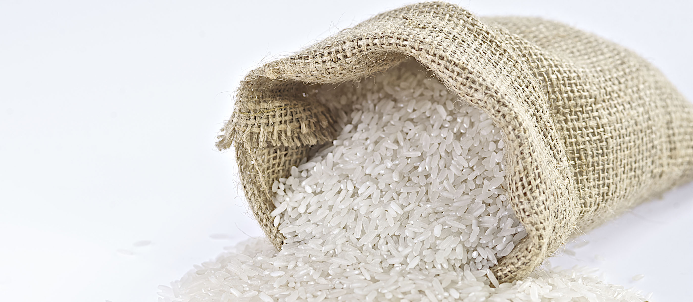 8 Most Popular Spanish Grains TasteAtlas