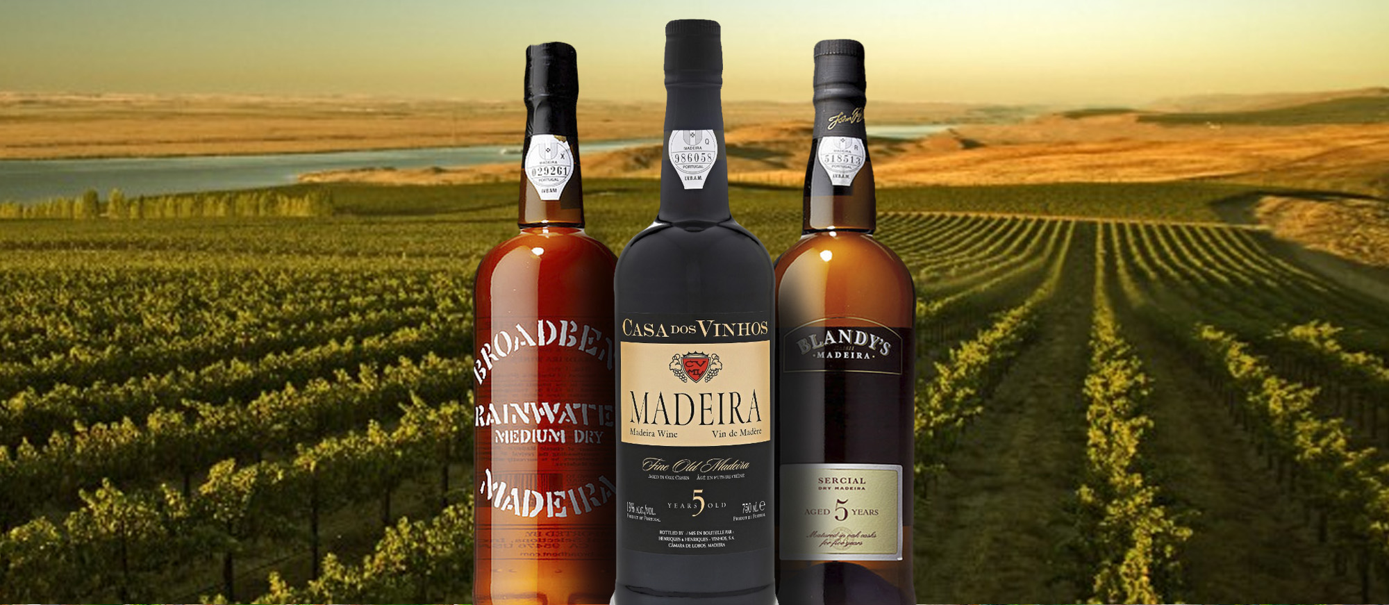 4-best-rated-portuguese-fortified-wines-tasteatlas