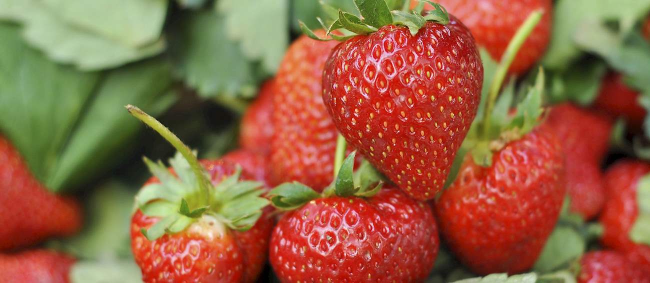 58-best-fruits-in-europe-tasteatlas