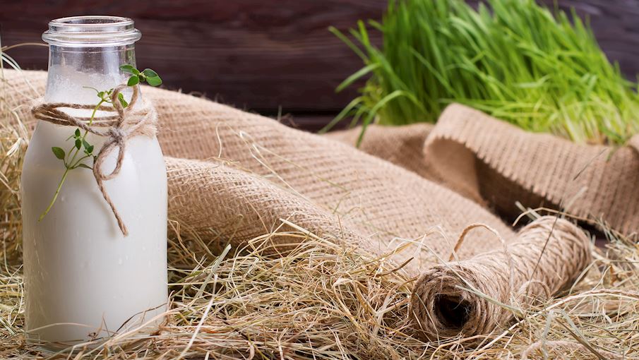 Most Popular Dairy Products in The World TasteAtlas