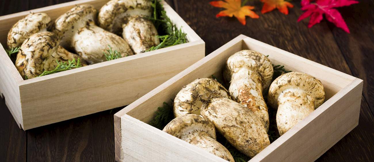 Matsutake Local Mushroom From Japan