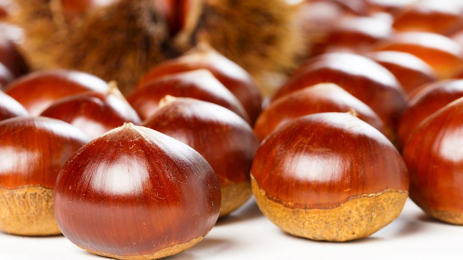 4 Most Popular Portuguese Chestnuts - TasteAtlas