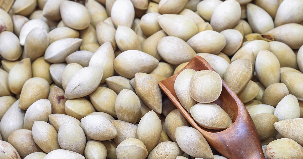 Asian Nuts and Seeds: 8 Nuts/Seeds Types in Asia | TasteAtlas