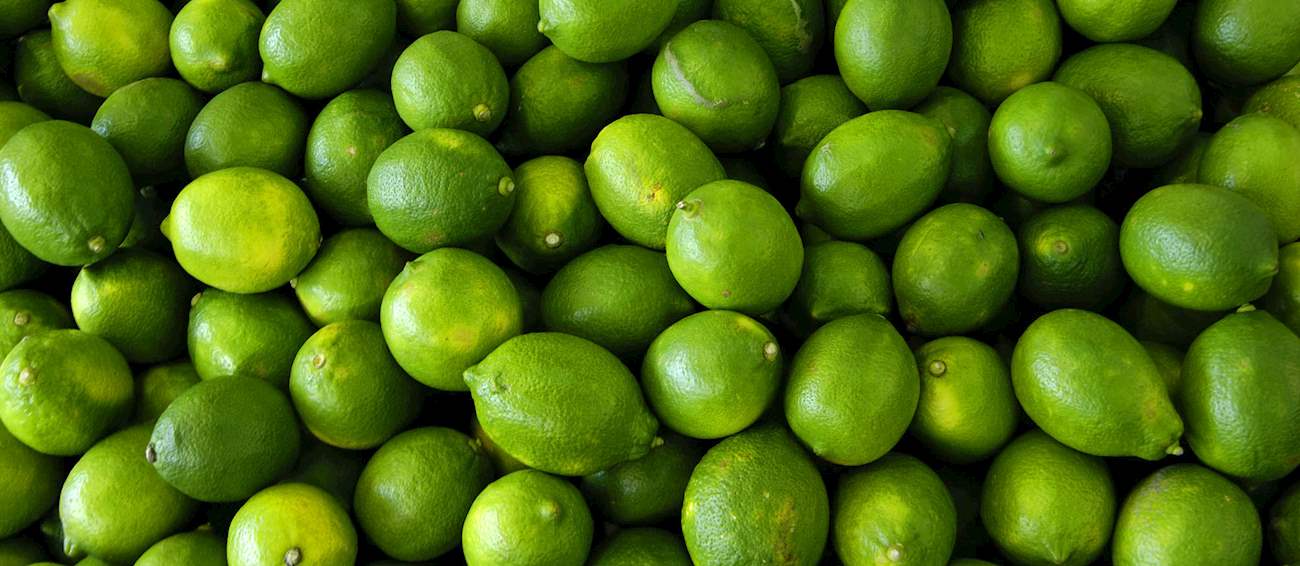 Limone interdonato messina local lemon from metropolitan city of