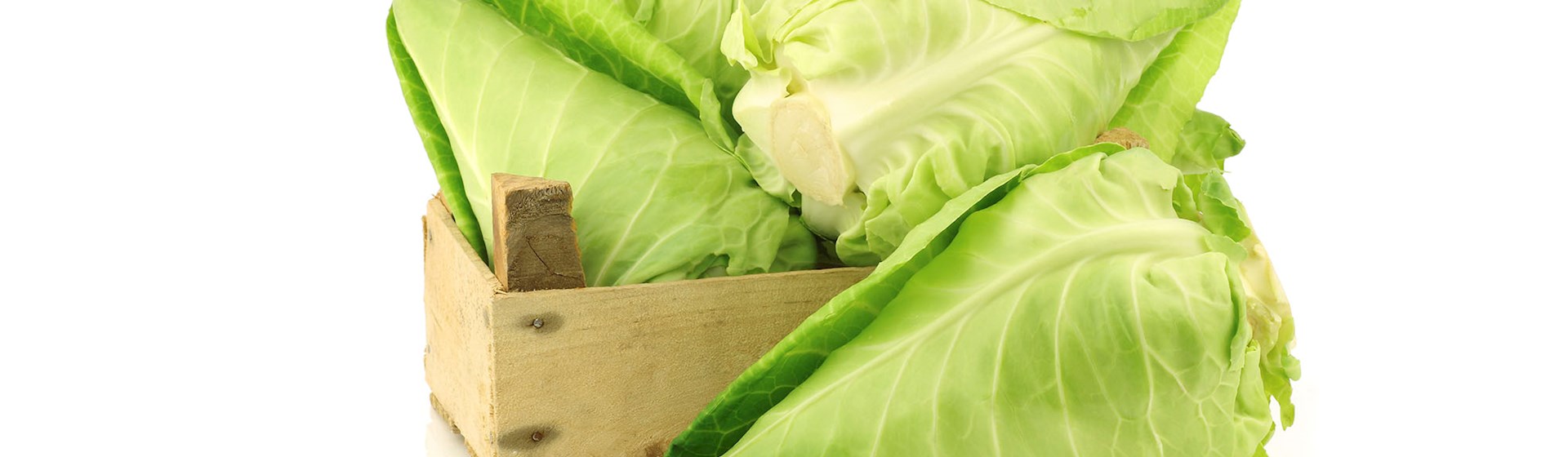 4 Best Cabbages in Central Europe - TasteAtlas