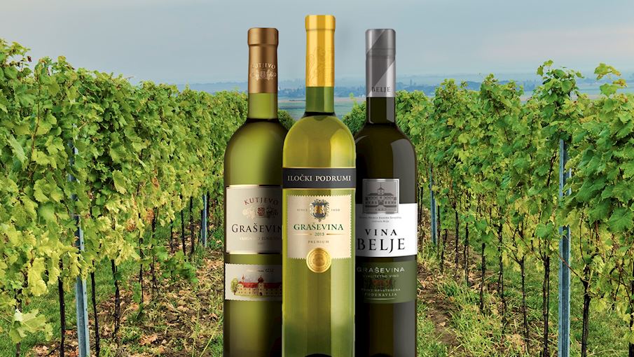 8 Best Rated Croatian Wine Varieties TasteAtlas