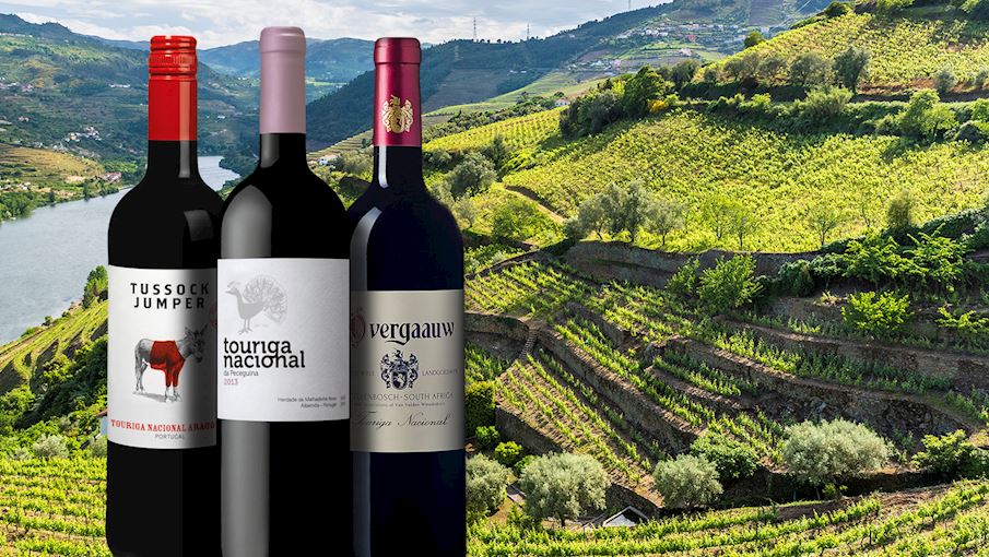 10 Most Popular Portuguese Wines (varieties And Appellations)