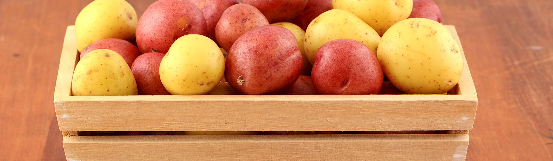 Yukon Gold Casino Theme - goldene Atmosphäre