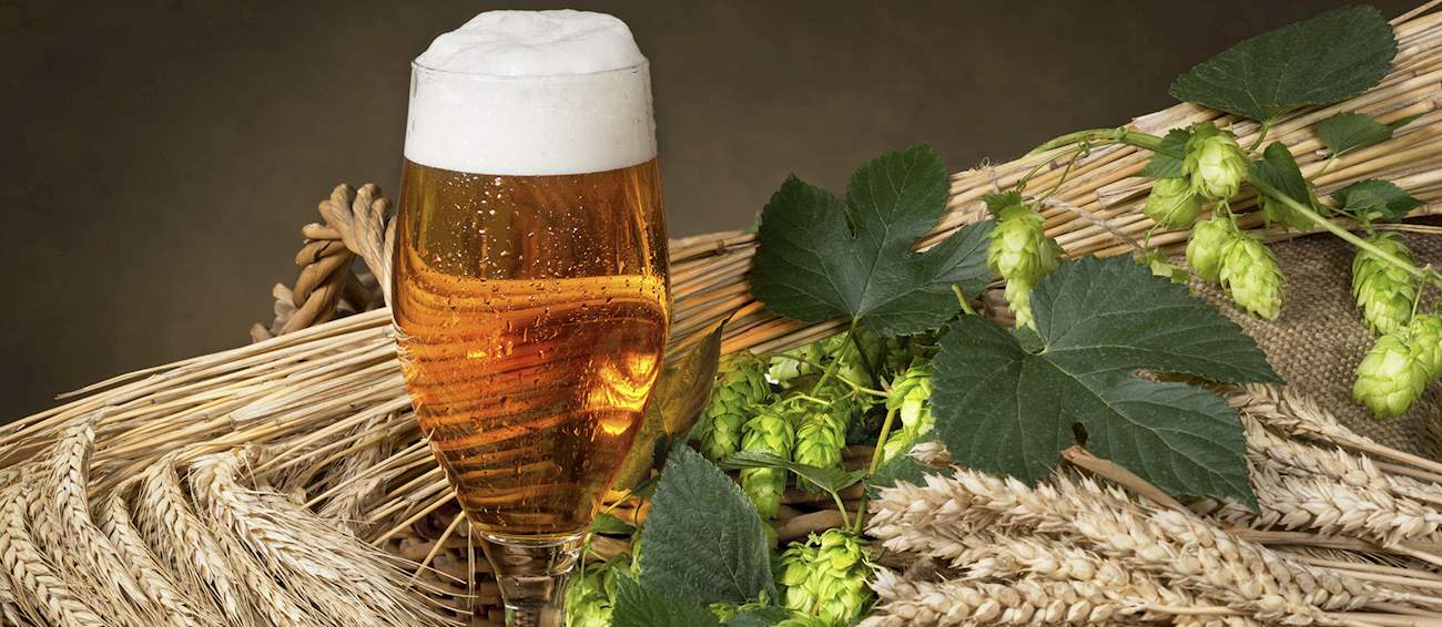 Českobudějovické Pivo Local Beer From České Budějovice, Czech Republic