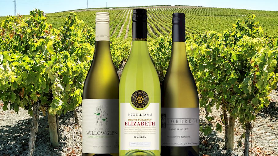 50 Most Popular French White Wines TasteAtlas