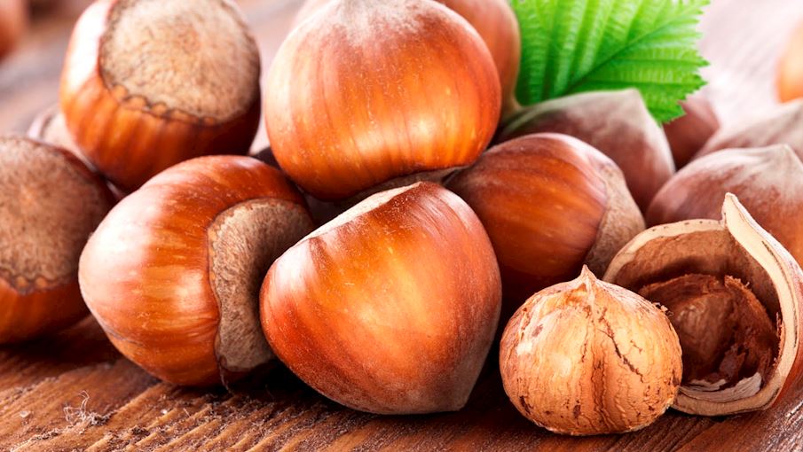 Most Popular Hazelnuts in the World TasteAtlas