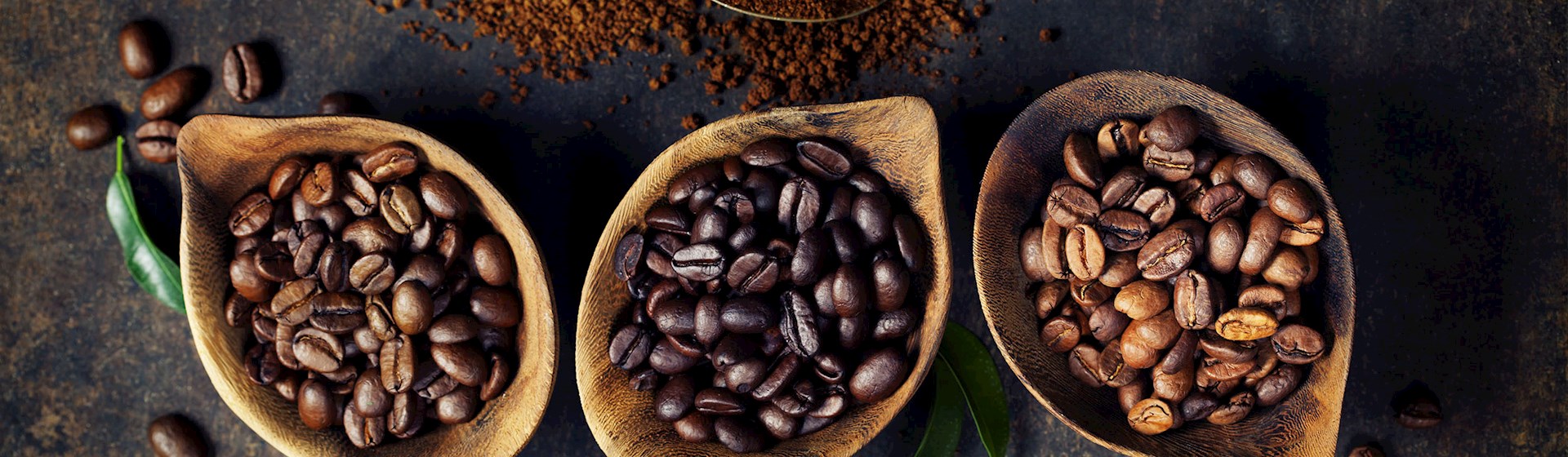 Thumbnail for North American Dedicated Coffee Beans Sources