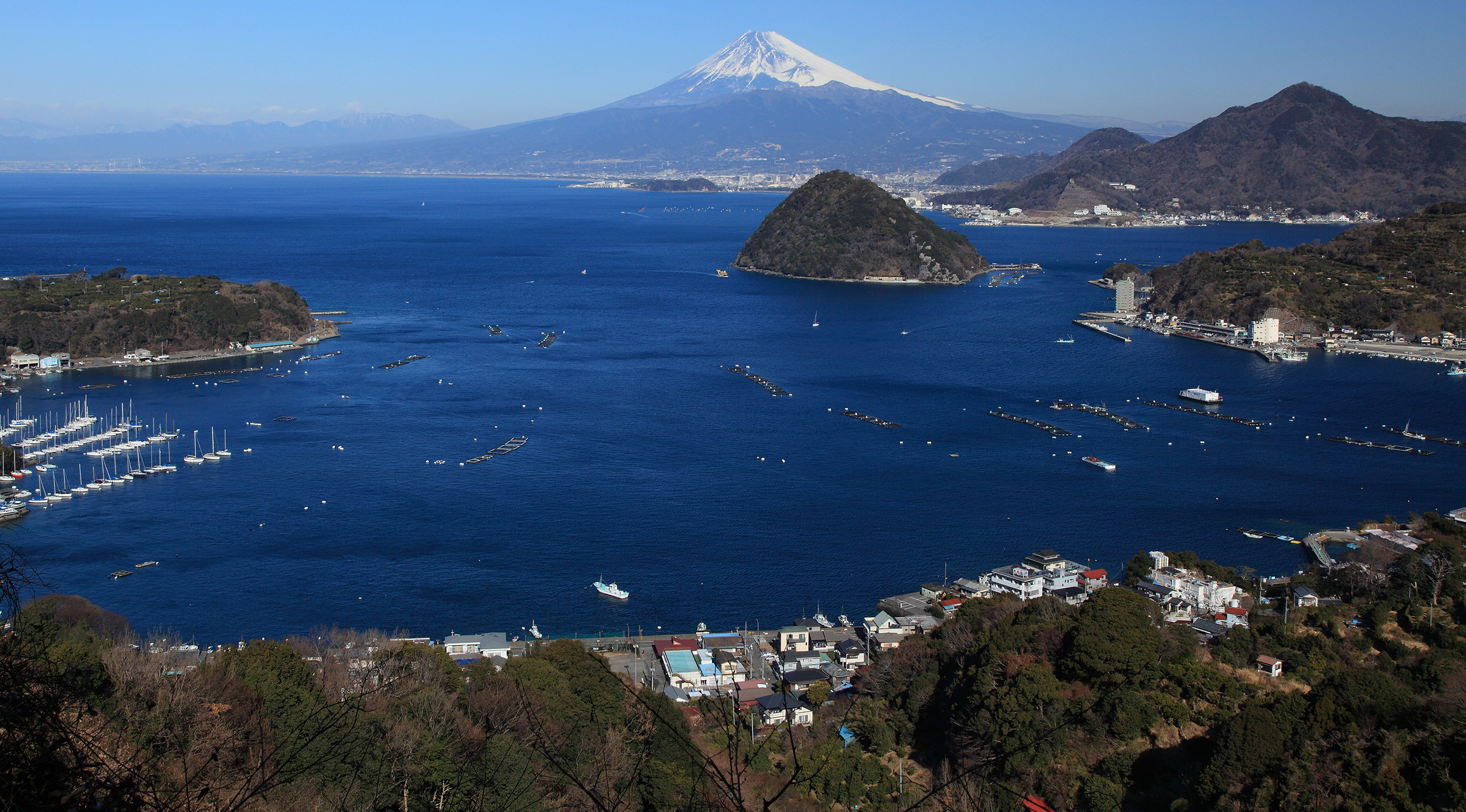 Eat Local in the Chubu Region