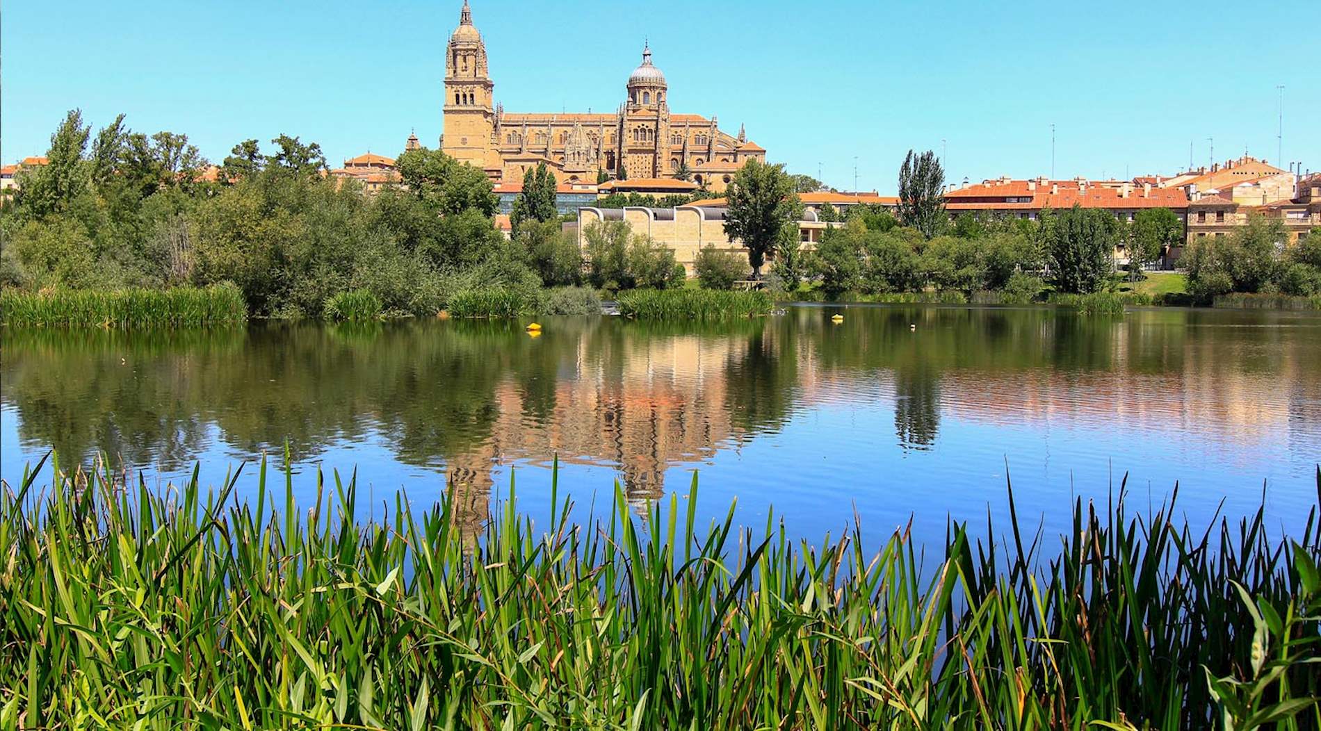 Province of Salamanca