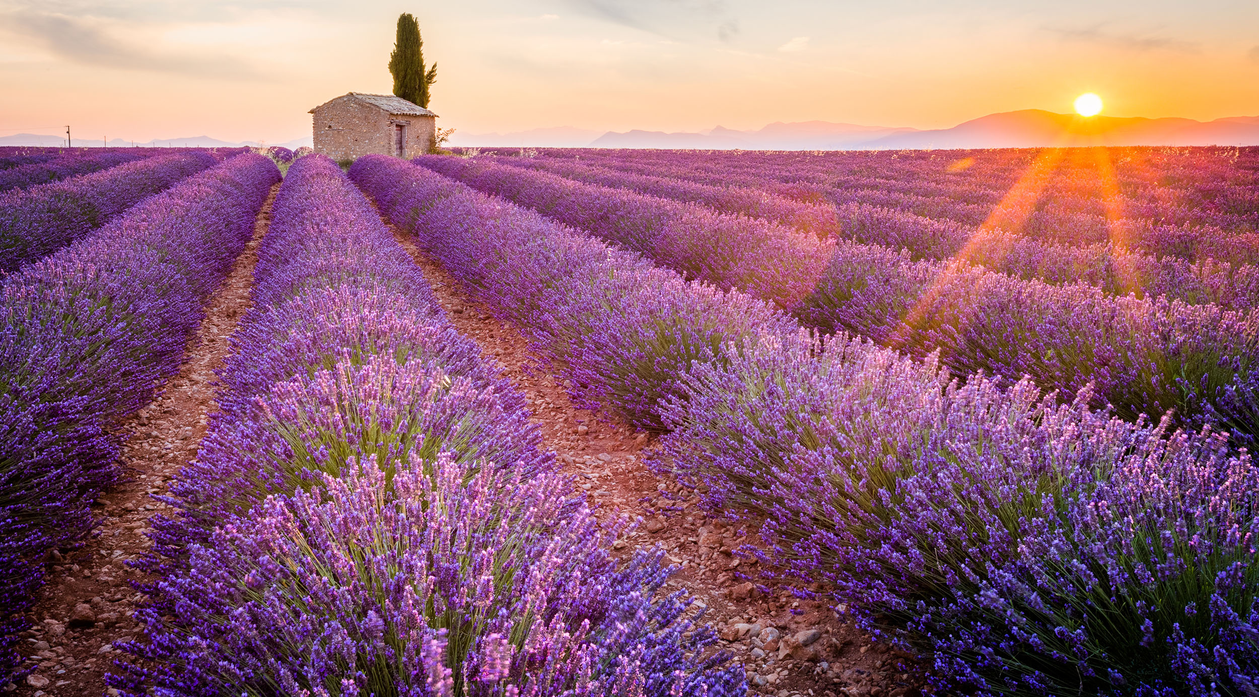 Provençal Food Map TasteAtlas