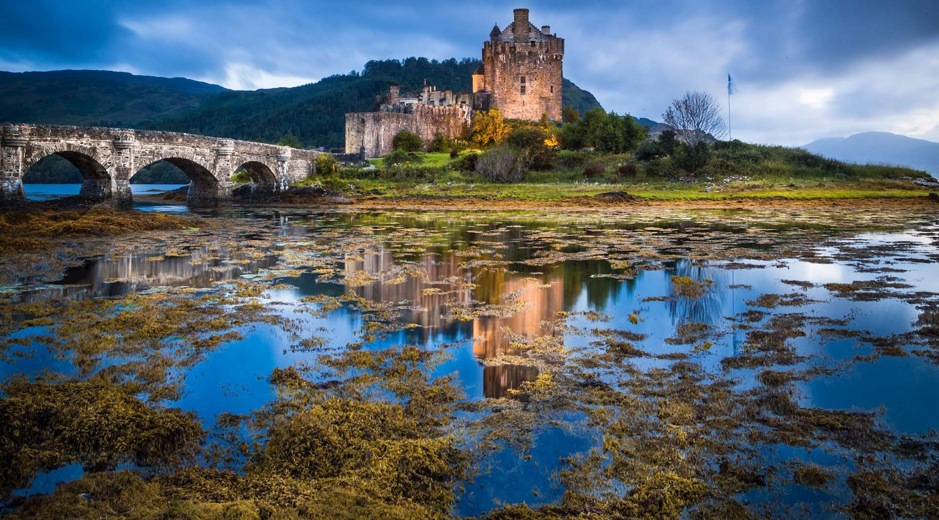 Eat Local in Scotland