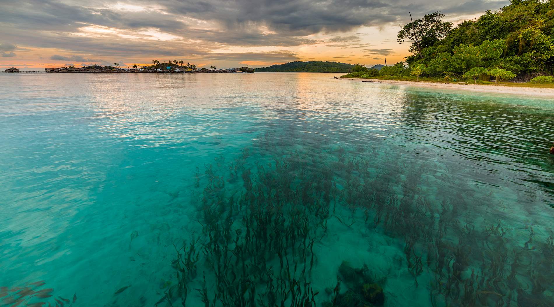 Eat Local in Sulawesi