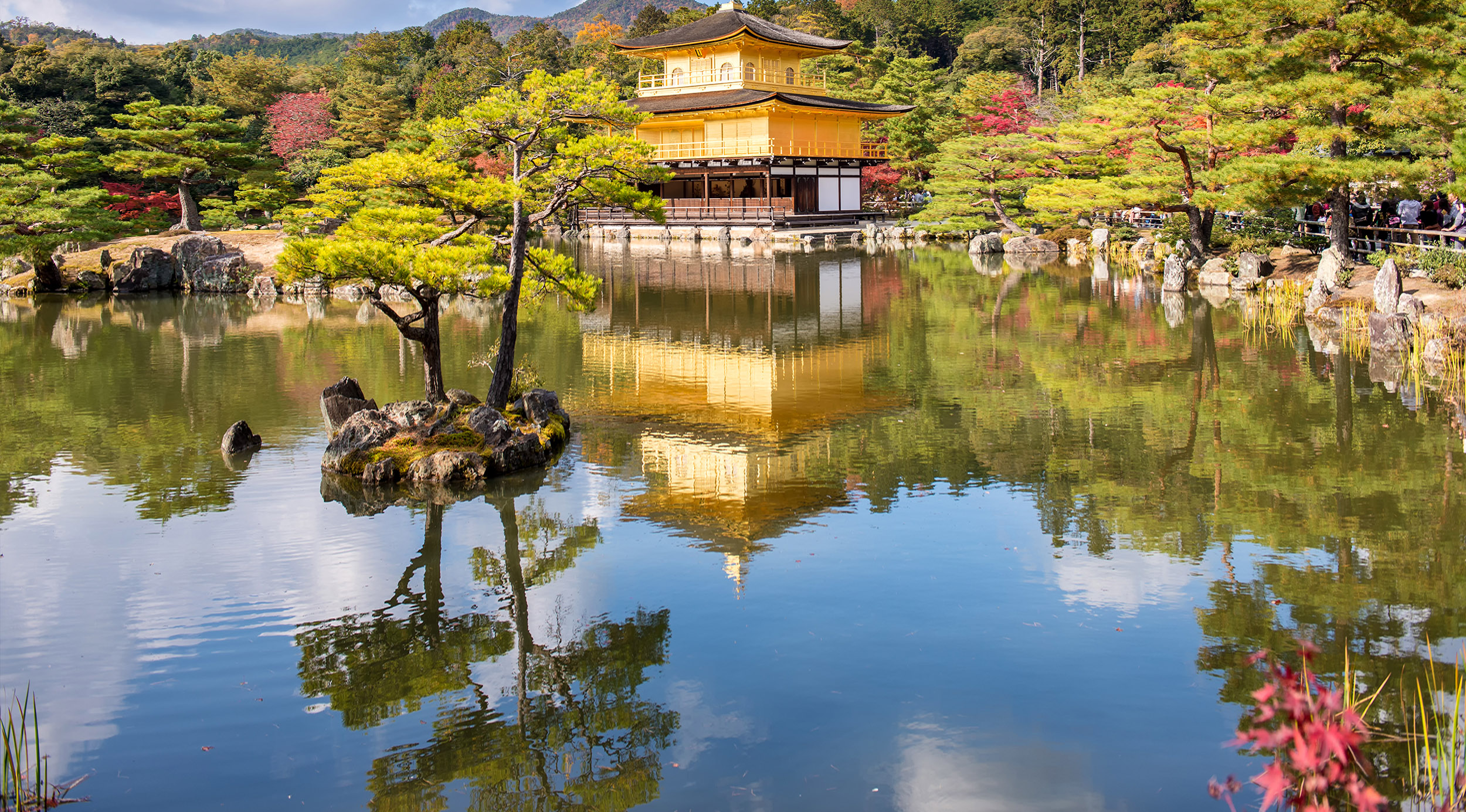 Eat Local in the Kansai Region