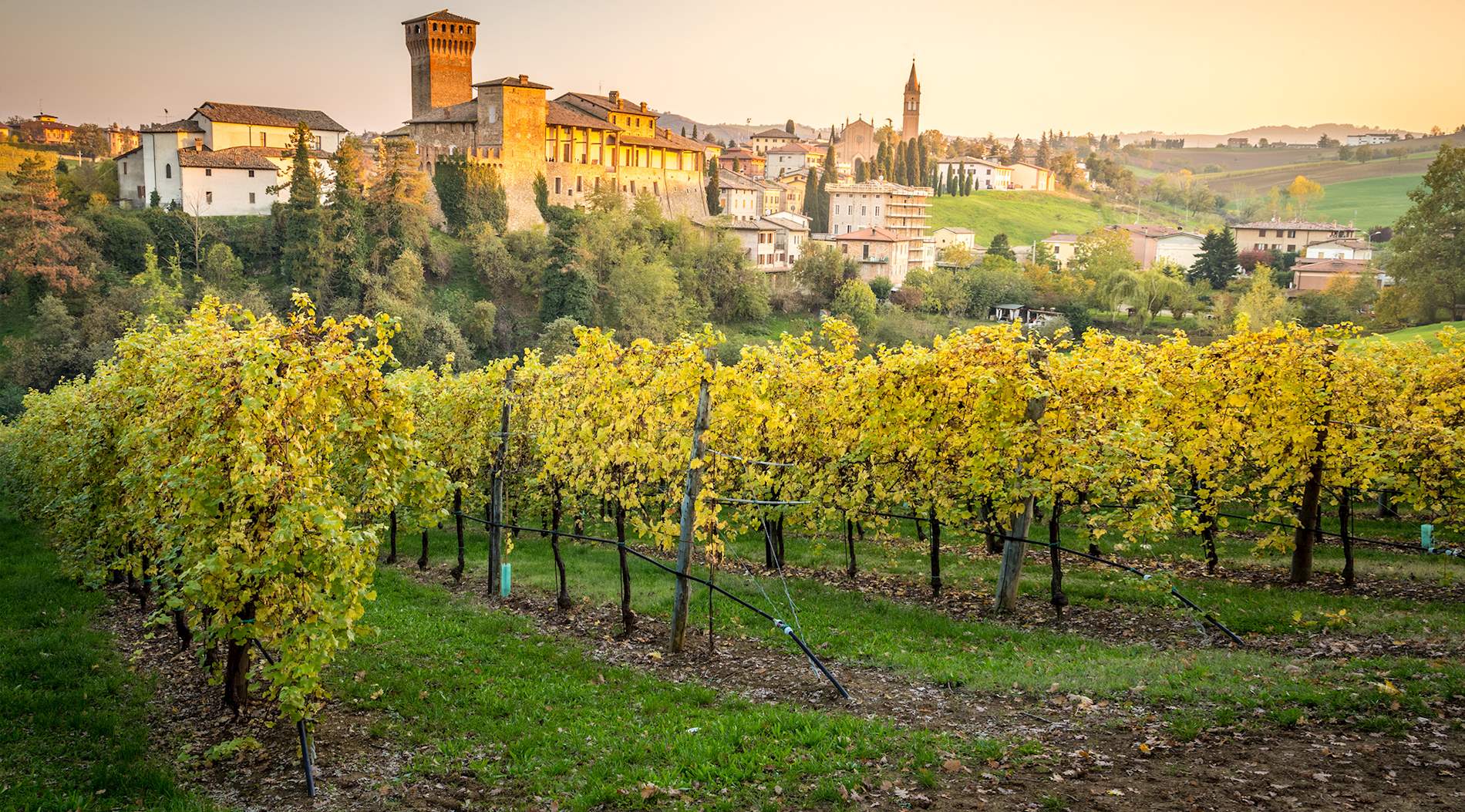 action provincia di modena