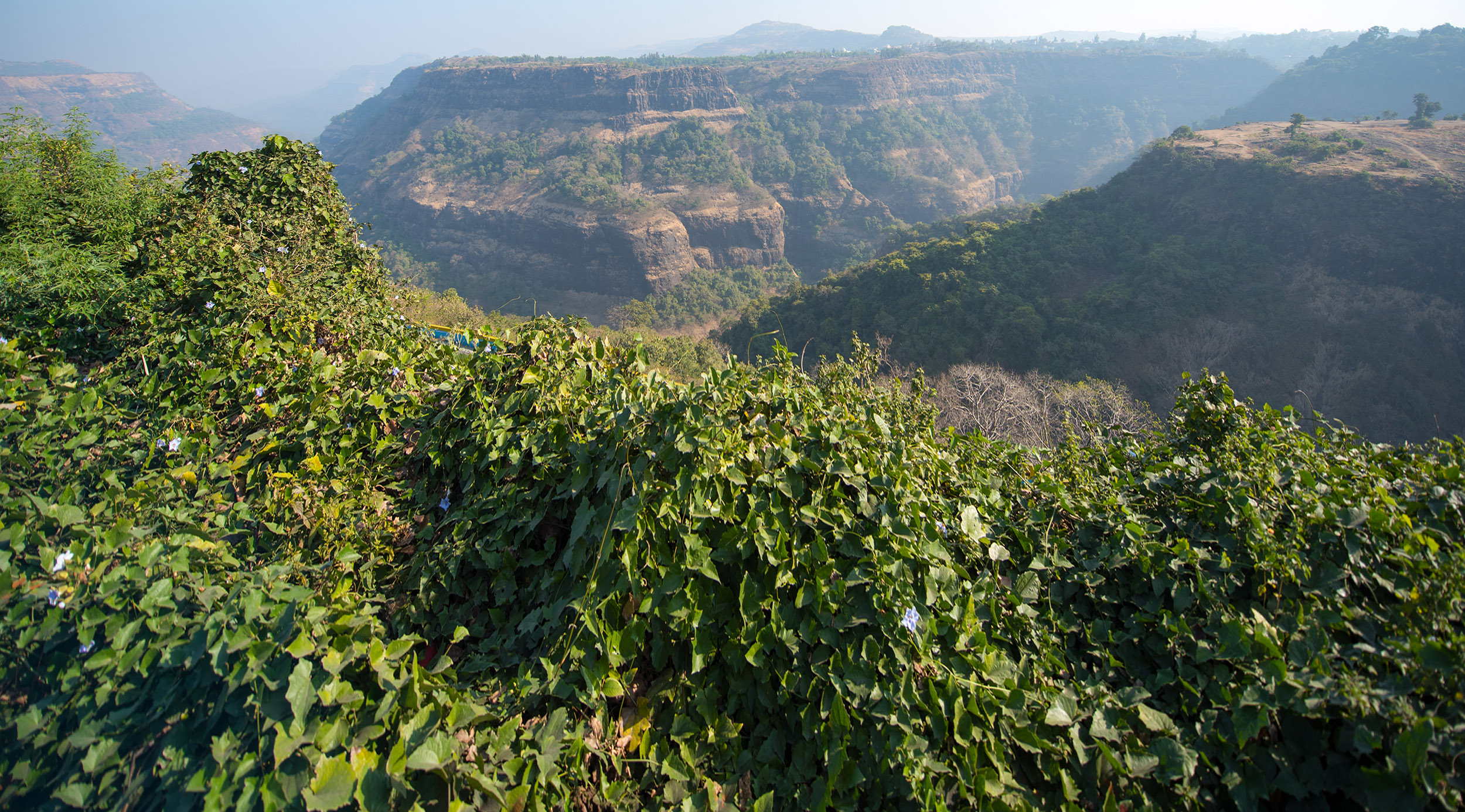 Maharashtrian Food Map | TasteAtlas