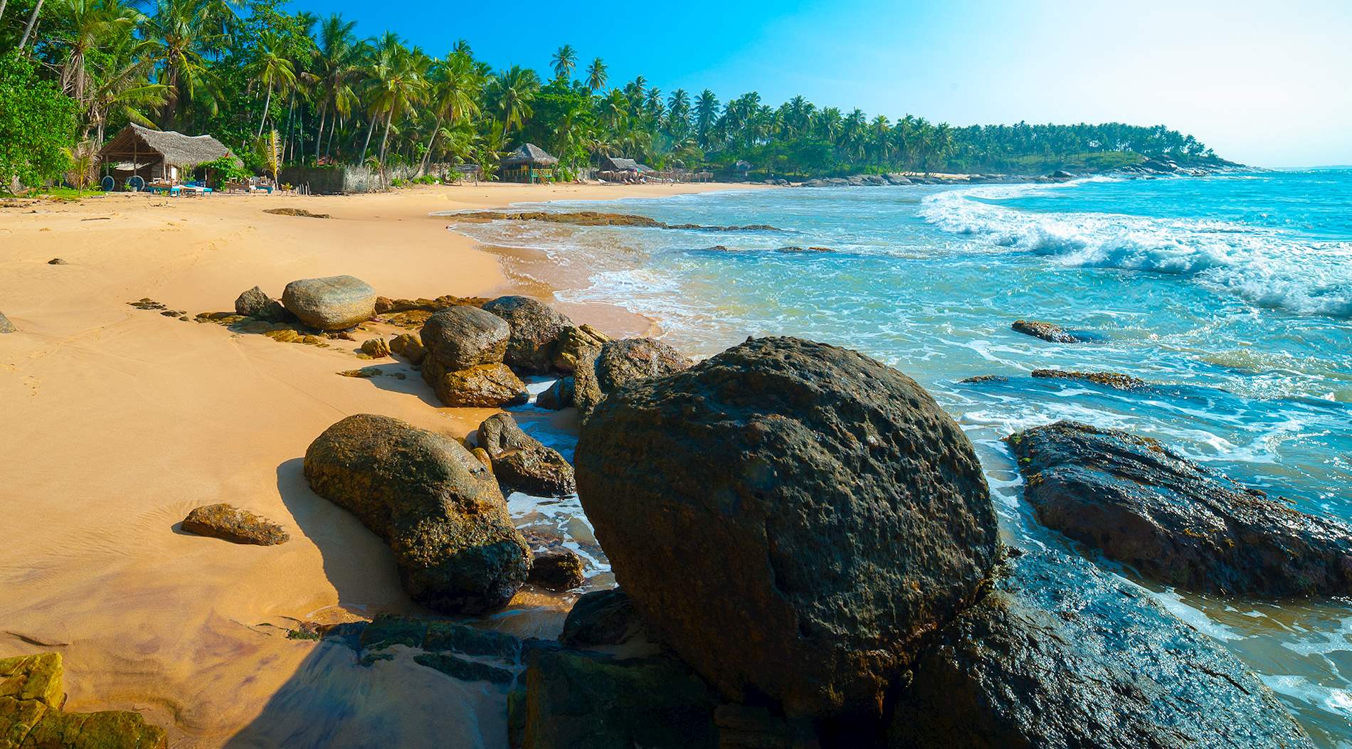 Eat Local in Sri Lanka