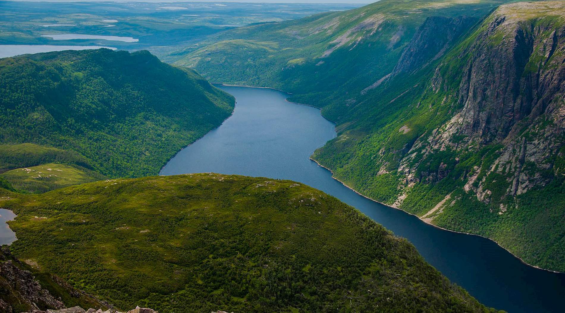 Eat Local in Newfoundland and Labrador