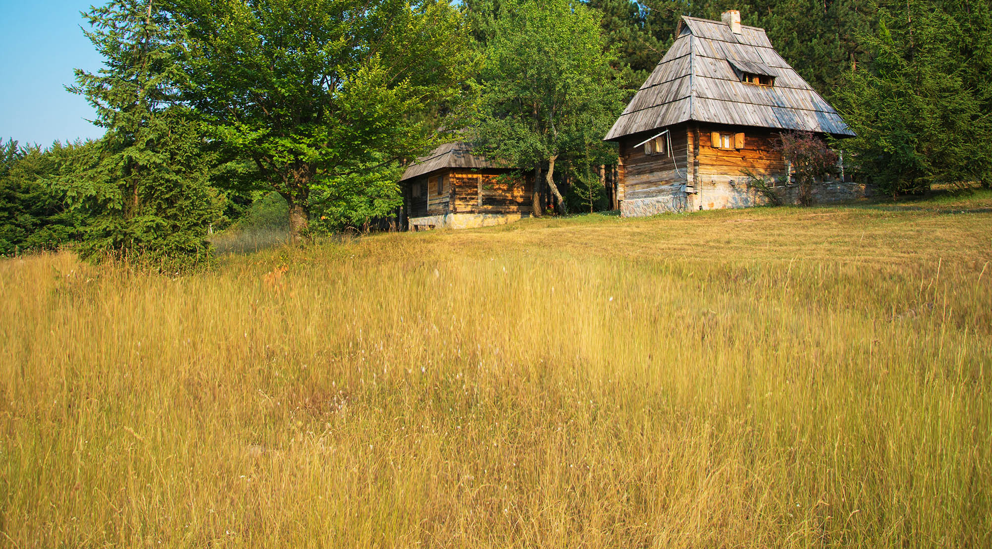 Eat Local in Zlatibor District