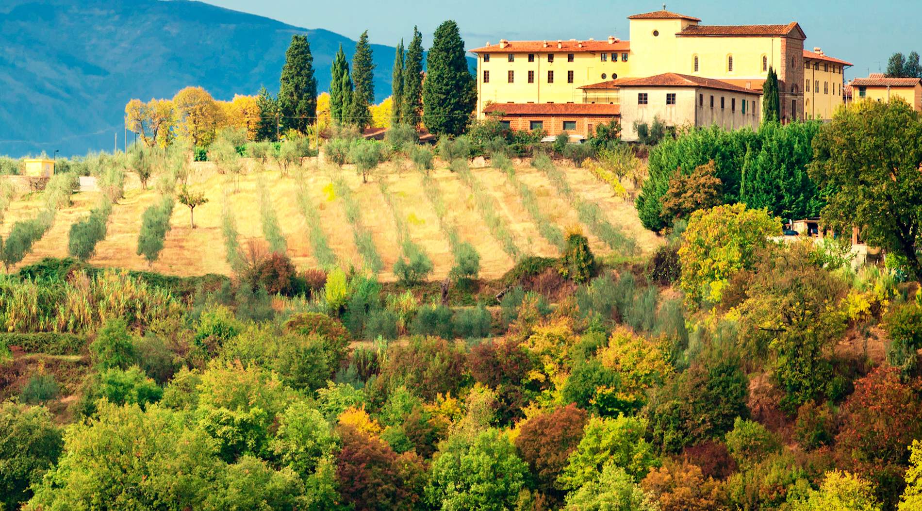 Province of Arezzo