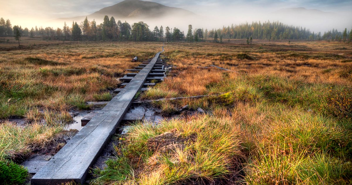 Eat Local in Jämtland County
