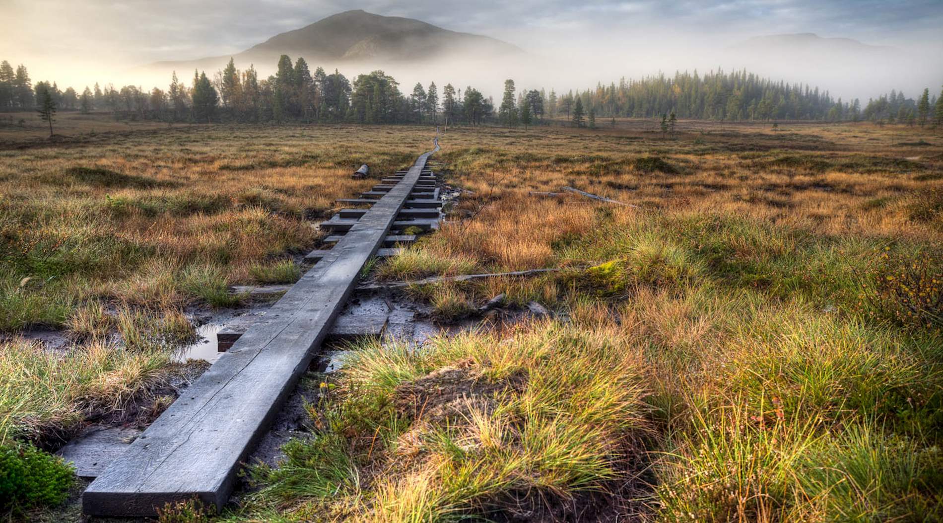 Eat Local in Jämtland County