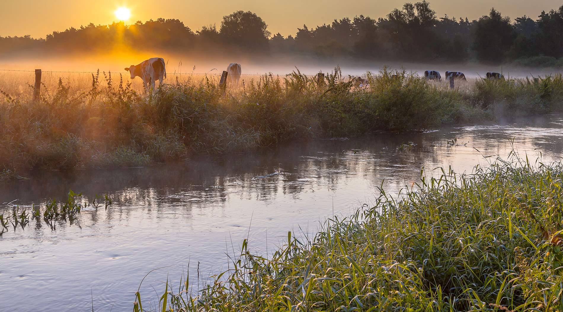 Eat Local in Overijssel