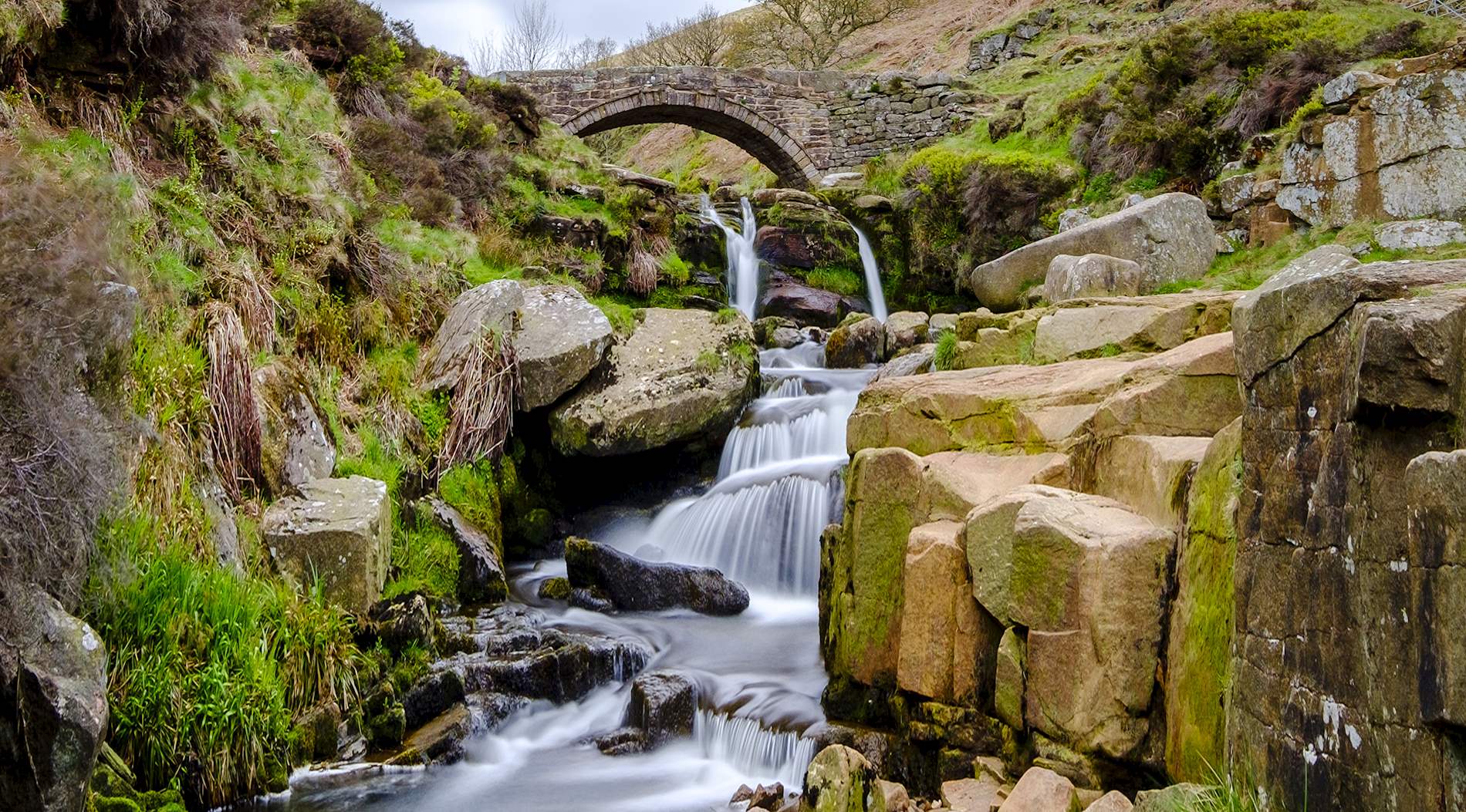 Eat Local in Staffordshire