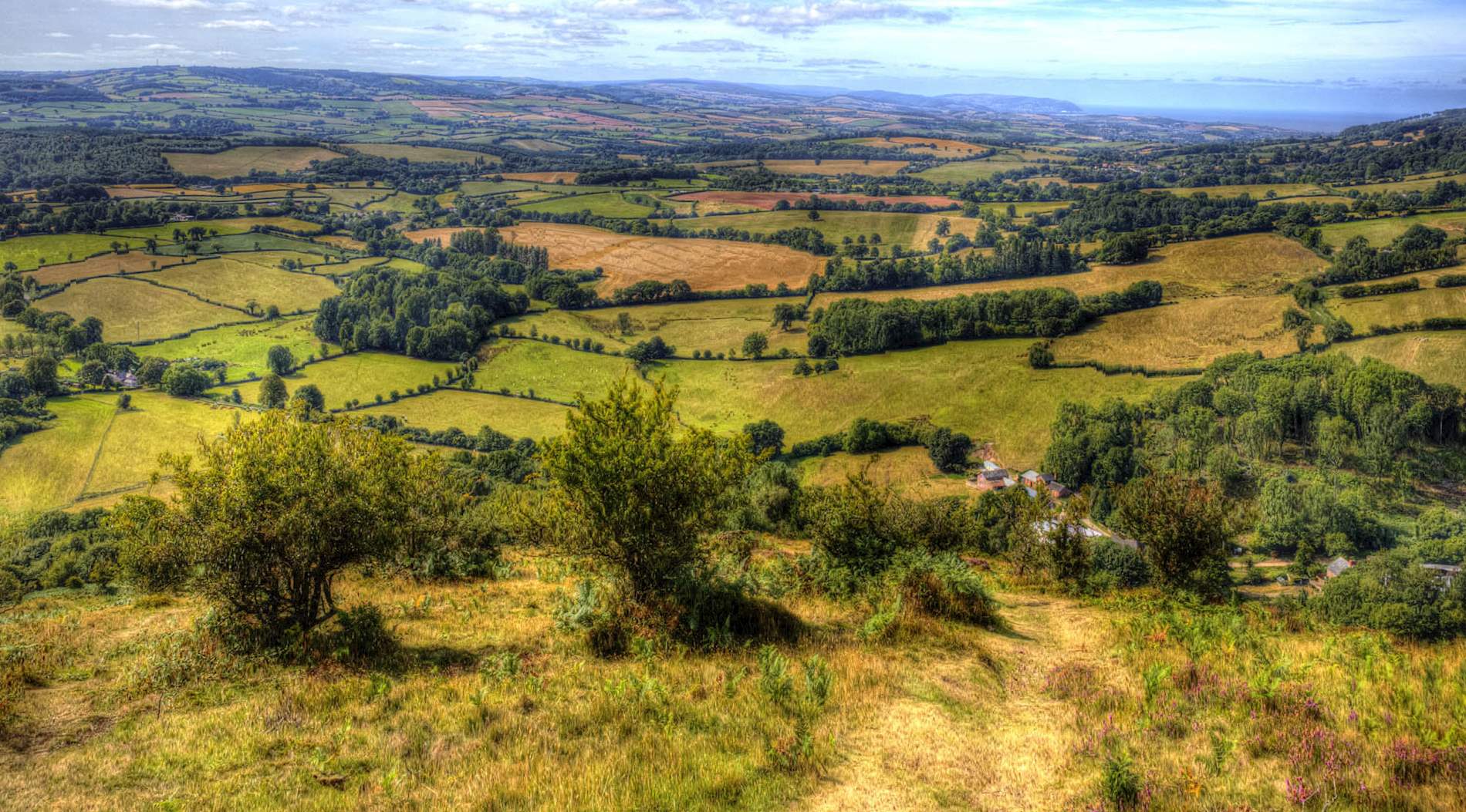 Eat Local in Somerset