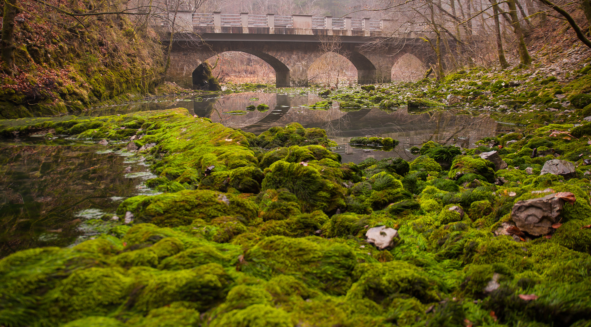 Eat Local in Municipality of Idrija