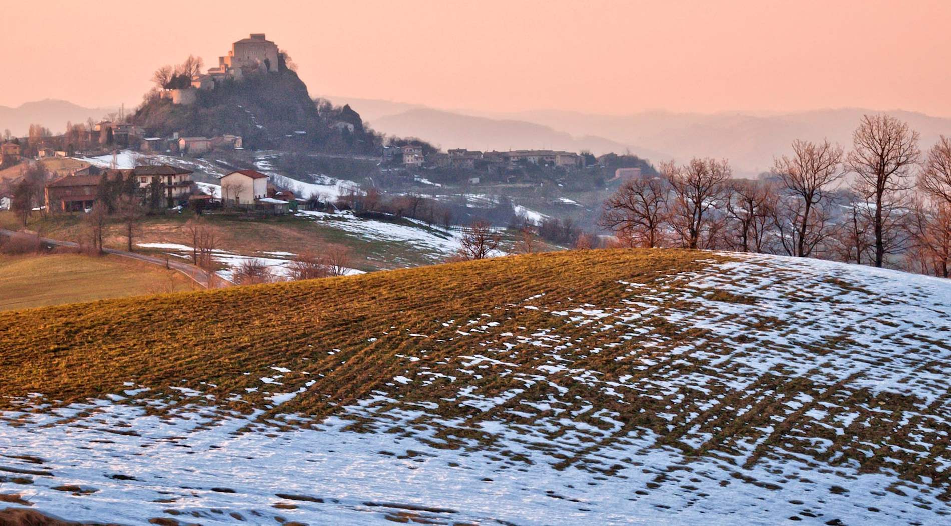 Eat Local in the Province of Reggio Emilia
