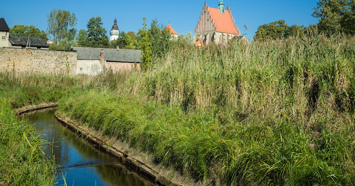 Eat Local in Masovian Voivodeship