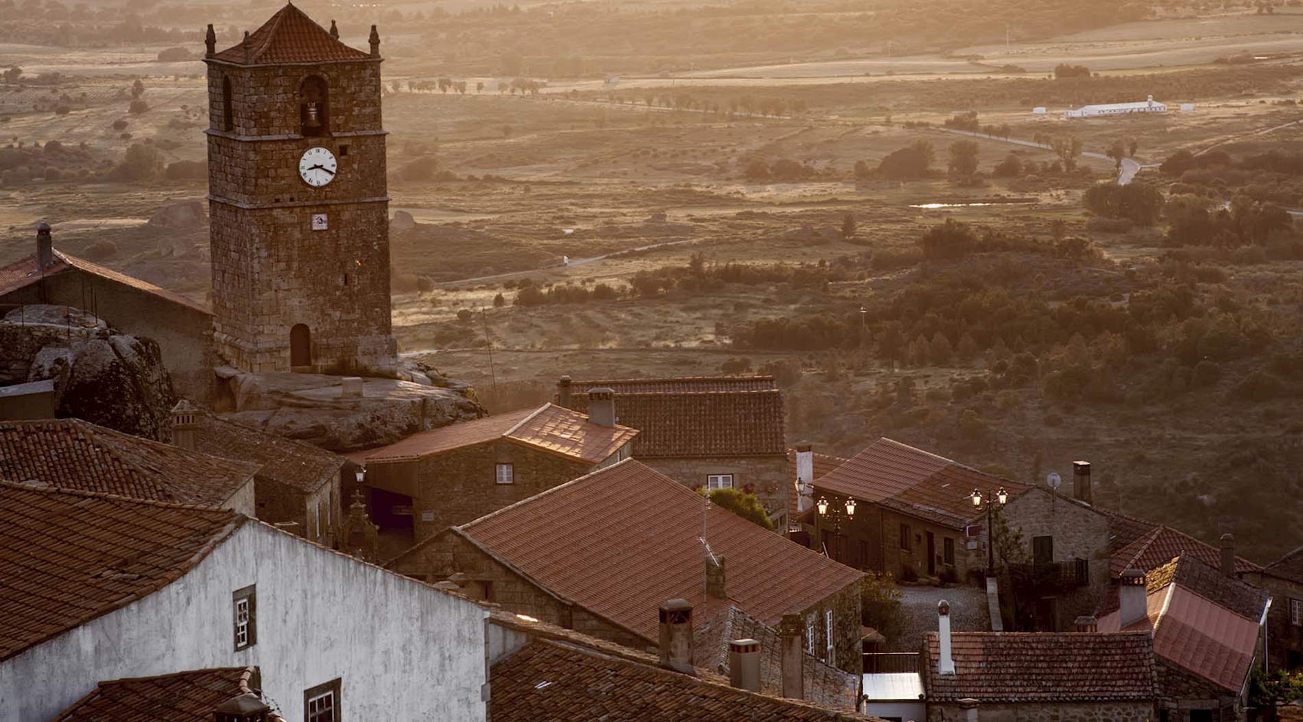 Eat Local in Castelo Branco District